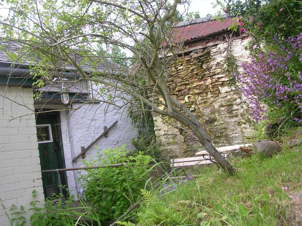 New Inn Brilley Whitney Kültér fotó